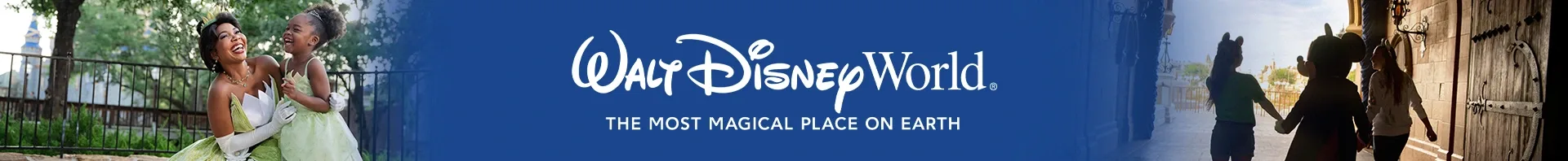 Disney World Banner
